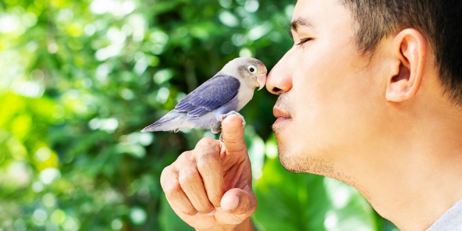 5 Jenis Lovebird di Indonesia yang Mudah Diternakkan, Jadi Bisnis Sampingan yang Menjanjikan!