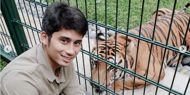 Gak Cukup Satu Harimau, Alshad Sepupu Raffi Ahmad Mau Nambah Hewan Afrika Ini! Udah Kayak Zoo!