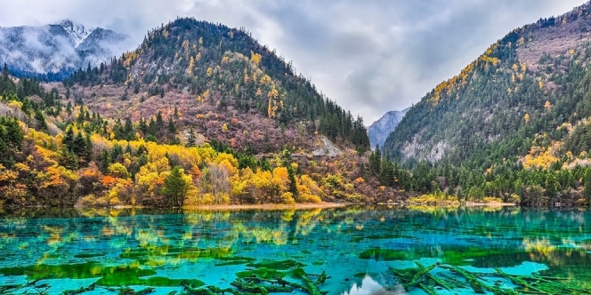 Menikmati Keindahan Jiuzhaigou, Salah Satu Lembah Terindah di Dunia