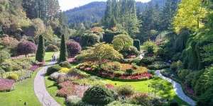 Mengunjungi Butchart Garden, Taman Bunga dari Berbagai Dunia dalam Satu Tempat