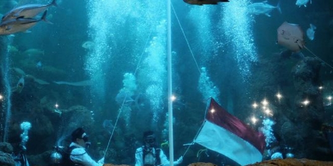 Ancol Bakal Kibarkan Bendera Merah Putih di Bawah Air, Cara Unik Sambut HUT RI ke-75
