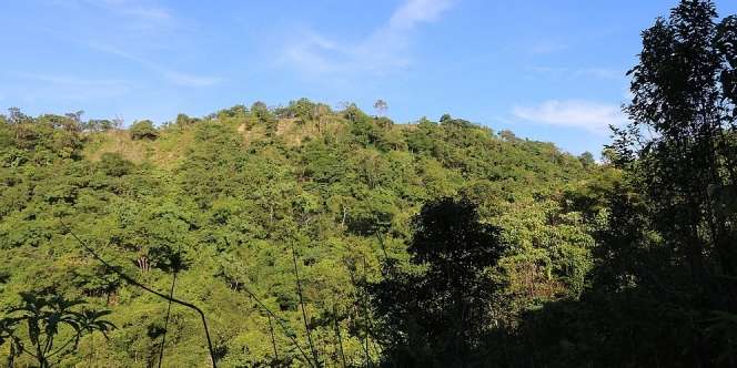 Dihuni Ribuan Buaya, Pulau Ini Jadi Tempat Paling Berbahaya di Dunia!