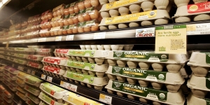 Kenapa ya Bisa Ada Beragam Varian Telur Ayam dengan Harga Mahal di Super Market?