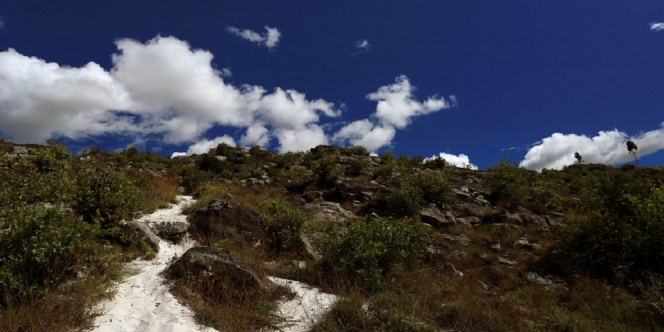 Cuma Ada di Wamena, Hamparan Pasir Putih yang Justru Berada Tepat di Atas Bukit