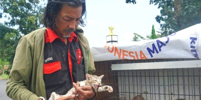 Meski Tinggal di Jalanan, Pemulung Ini Tetap Rela Rawat Kucing Liar yang Sakit