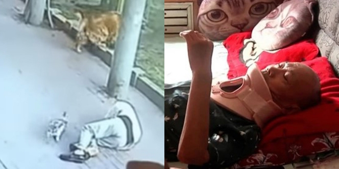 Ketiban Kucing, Kakek Ini Langsung Terjatuh Pingsan dan Dirawat di RS 23 Hari