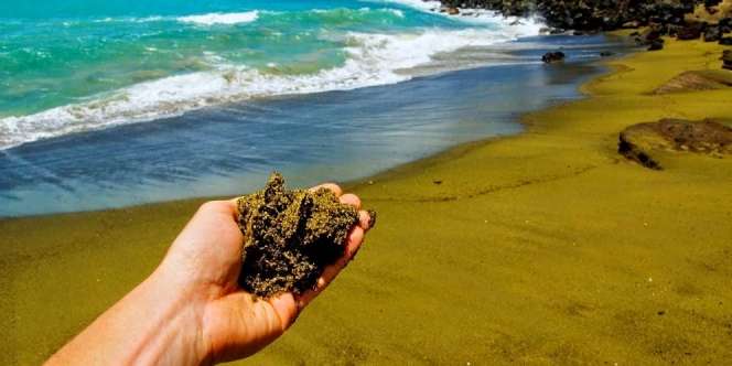 Indahnya Pantai Pasir Hijau di Papakolea Beach!