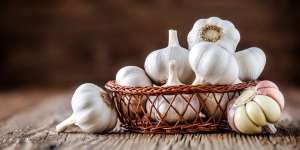 Cara Menanam Bawang Putih di Pekarangan Rumah dengan Mudah Hingga Sukses Panen