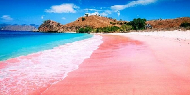 Pesona Pantai Unik Berwarna Pink yang Ada di Nusa Tenggara Barat
