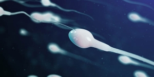 Fosil Sperma Raksasa Berusia 100 Juta Tahun Telah Ditemukan, Segede Apa ya?