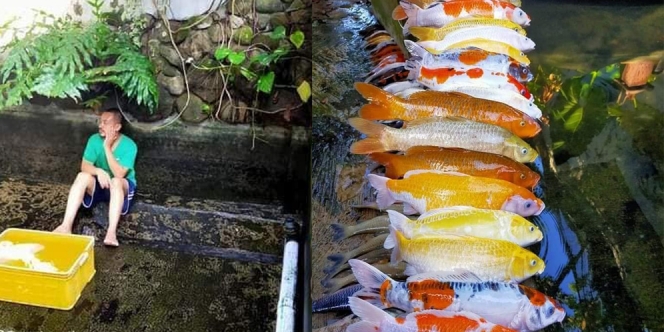 Puluhan Ikan Pria Ini Mati Gara-Gara Lupa Nyalain Pompa Air, Sedih Banget