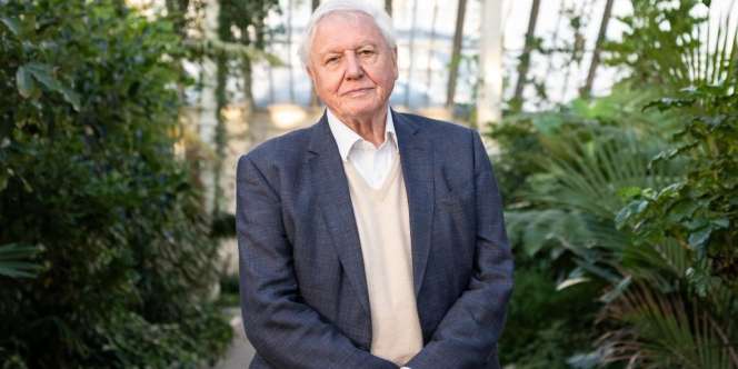 Sir David Attenborough Pecahkan Rekor Tercepat Dapatkan 1 Juta Followers Instagram, Siapa sih Dia?