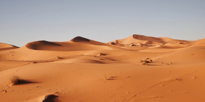 Bisakah Gurun Sahara Menjadi Hijau Lagi seperti Ribuan Tahun Lalu?