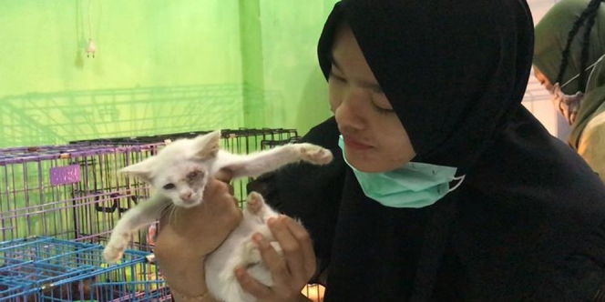 Kisah Mulia Talitha, Wanita Samarinda Penyelamat Kucing yang Terlantar