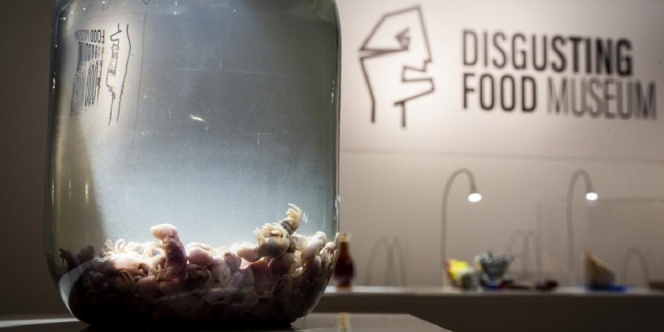 Melihat dari Dalam Museum Makanan Menjijikkan, Ada 80 Makanan Unik dari Seluruh Dunia