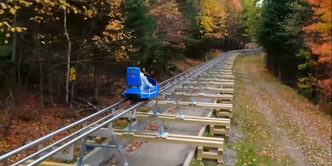 Hadirkan Wisata Ekstrem, New York Bikin Mountain Coaster Terpanjang di Amerika!