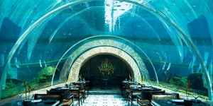 Tak Perlu ke Maldives, Yuk Nikmati Sensasi Restoran Under Water Pertama di Indonesia