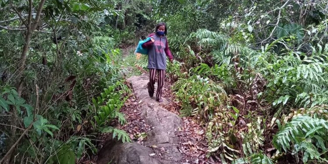 Kisah Inspiratif Bu Berta, Susuri Hutan Lebat Belasan Tahun untuk Mengajar