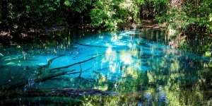 Menyusuri Keindahan Kalibiru, Sungai Terindah di Raja Ampat