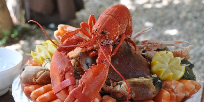 Sekarang Jadi Makanan Mewah, Ini Fakta-Fakta Unik Lobster yang Dulu Disajikan untuk Narapidana