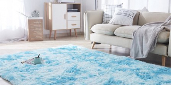 Biar Gak Mudah Bau, Ini lho Cara Tepat Merawat Karpet dalam Ruangan