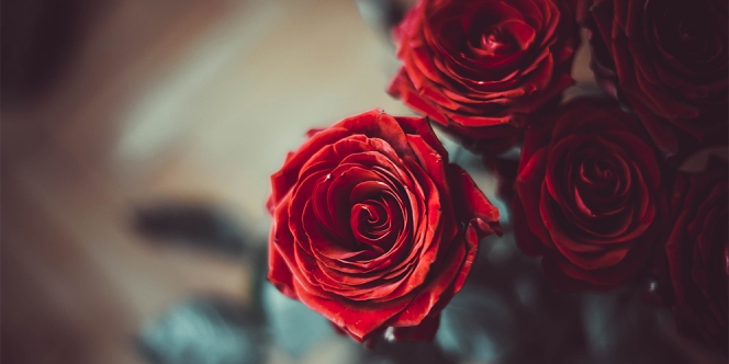 7 Manfaat Bunga Mawar untuk Wajah, Sumber Antioksidan hingga Mengurangi Kerutan