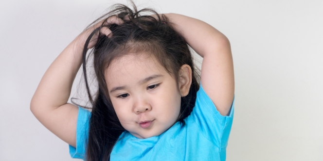 Cara Mengatasi Masalah Kutu Rambut pada Anak