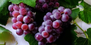 14 Manfaat Anggur Merah dan Hitam untuk Kesehatan, Bisa Tingkatkan Mood dan Mengurangi Kolesterol