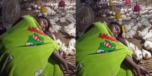 Viral Pria Tidur di Kandang Peternakan Ayam, Netizen Banjiri dengan Doa