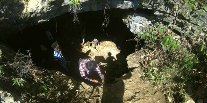 Begini Seramnya Istana Ular di Goa Manggarai Nusa Tenggara Timur