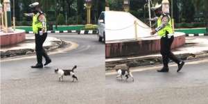 So Sweet, Polisi Ini Bantu Kucing Seberangi Jalan!