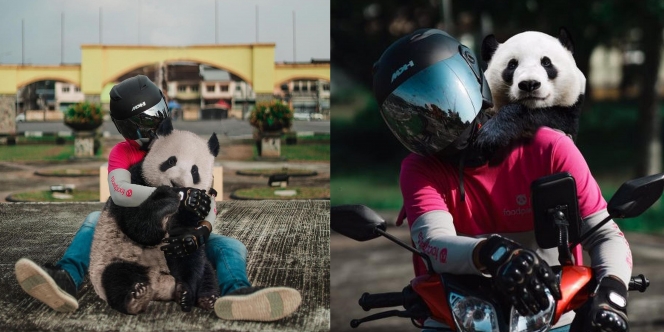 Viral! Pria Asal Malaysia Ini Membawa Panda Lucu di Hari Terakhir Bekerja sebagai Ojol