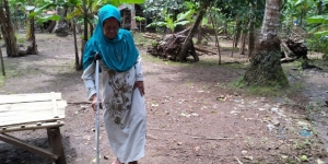 Hidup Sebatang Kara, Nenek Ini Mencari Kayu dengan Tongkat Demi Sesuap Nasi