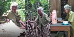 Kisah Pilu Mbah Kariyo, Nenek Tua Tinggal Sebatang Kara Cuma Bisa Makan Sisa Tiwul Singkong Jemur