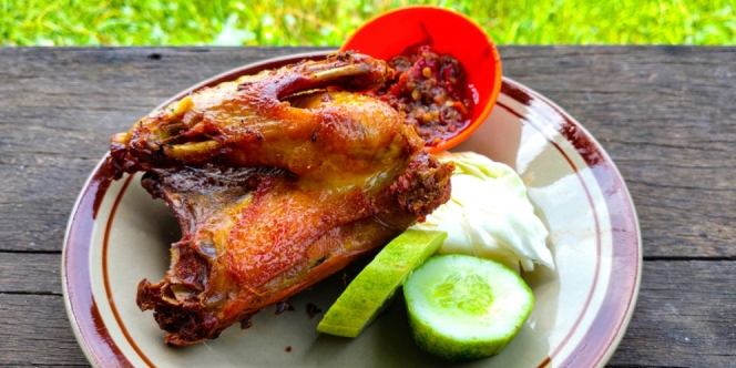 Terkenal Keras, Yuk Simak Cara Mengolah Ayam Kampung Agar Lebih Empuk dan Gurih