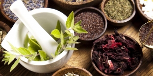 9 Obat Penyakit Asma Herbal, Alami dan Tradisional