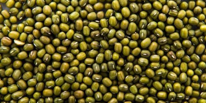 10 Manfaat Kacang Hijau yang Diolah Menjadi Bubur untuk Ibu Hamil 