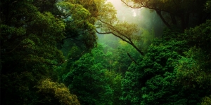 35 Kata Bijak Tentang Keindahan Alam Semesta, Penuh Makna sebagai Pengingat Diri