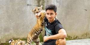 10 Potret Alshad Ahmad Akrab Main Bareng Harimau