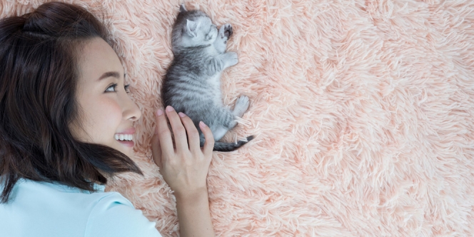 Aman Gak Sih Tidur Bareng Kucing dalam Satu Ranjang?