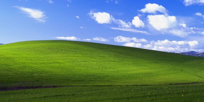 Kisah Dibalik Bliss, Wallpaper Paling Ikonik dari Windows XP