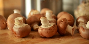 15 Macam-Macam Jenis Jamur yang Bisa Dimakan, Lezat dan Aman untuk Dikonsumsi