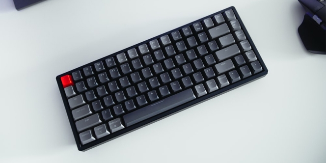 Jenis-Jenis Keyboard Secara Fisik yang Paling Populer, Wajib Tahu nih!