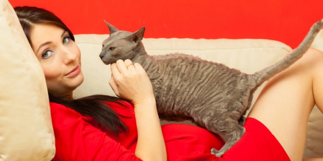 Pelihara Kucing Saat Hamil, Benarkah Berisiko Toksoplasma?