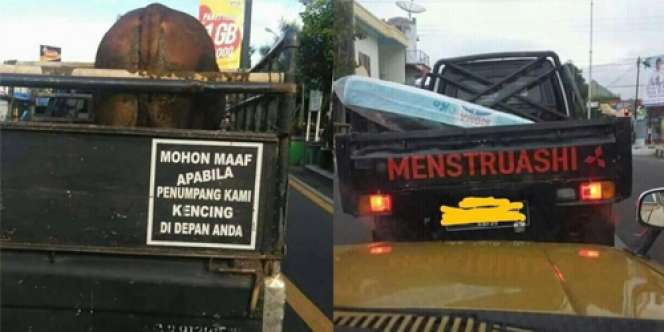 13 Pesan dan Tulisan Nyeleneh di Mobil Pick-up Ini Bikin Tepok Jidat