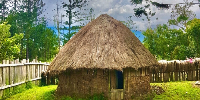 Rumah Adat di Papua Dikenal dengan Nama, Ini Penjelasan Beserta Jenis Lainnya