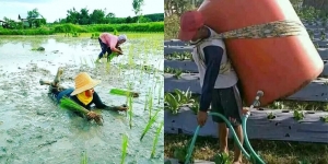 12 Aksi Kreatif Para Petani, Bukti Sah kalau Indonesia Negara Agraris