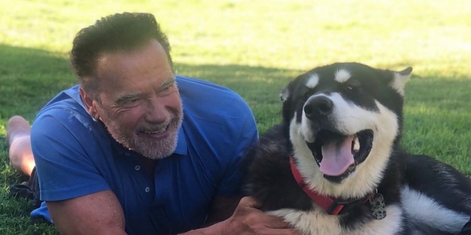 Arnold Schwarzenegger Resmi Bercerai, Selingkuh dengan ART Sendiri