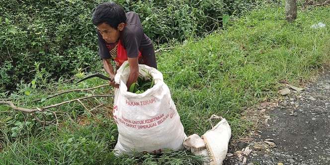 Bapak Ini Rela Kerja Dapat Uang Hanya Rp10 Ribu Per Bulan, Demi Hidupi Ibu yang Sakit