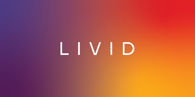 Yuk Kenalan Sama LIVID, Partner Creative Digital Agency Terpercaya Buat Kamu